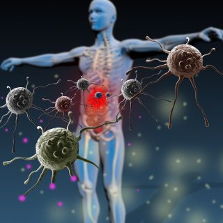 Îmbunătățirea sistemului imunitar